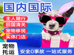 周水子航空货运国际宠物托运 【国
